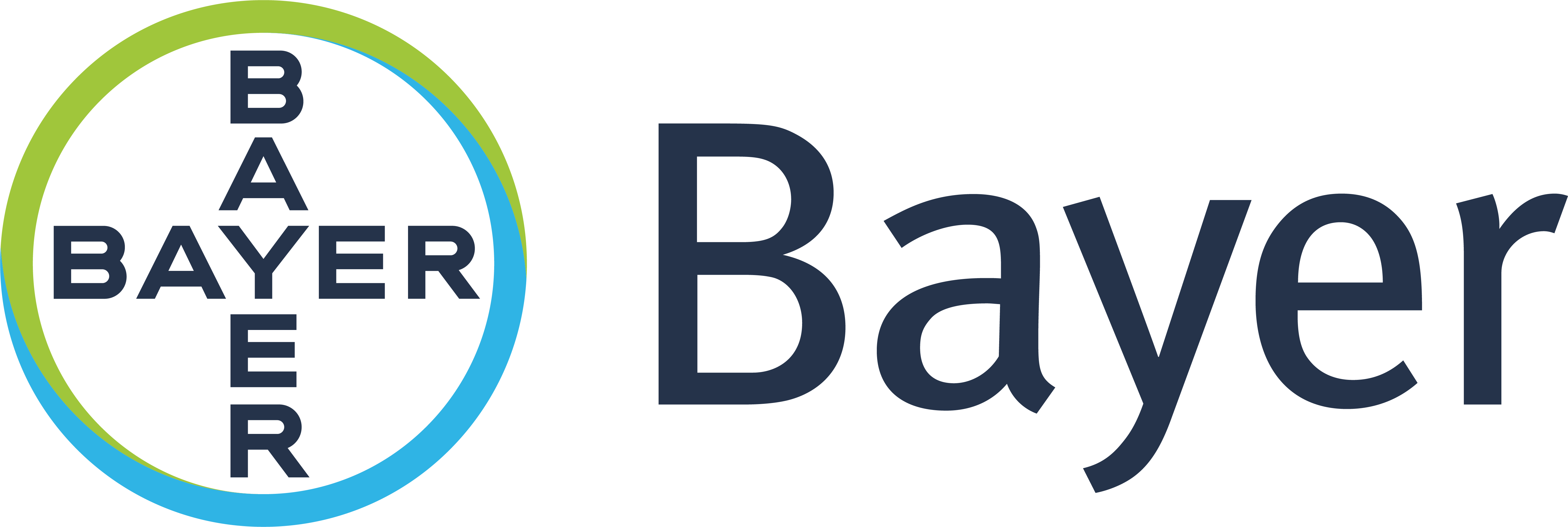 Bayer_logo_PNG_(11)